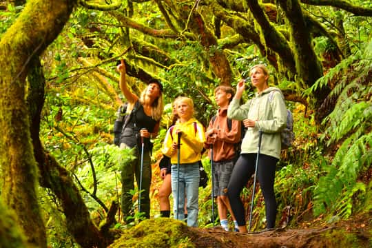 Tenerife: Anaga Mountains & Enchanted Forest Hiking Tour