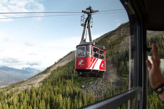 Jasper SkyTram Roundtrip Flight Ticket